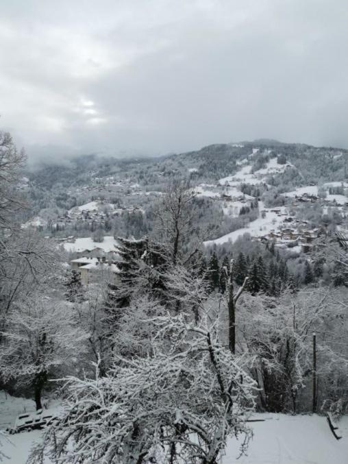 Kaban' Des Neiges Apartment แซ็งต์-แฌร์เวส์-เลส์-แบ็งส์ ภายนอก รูปภาพ