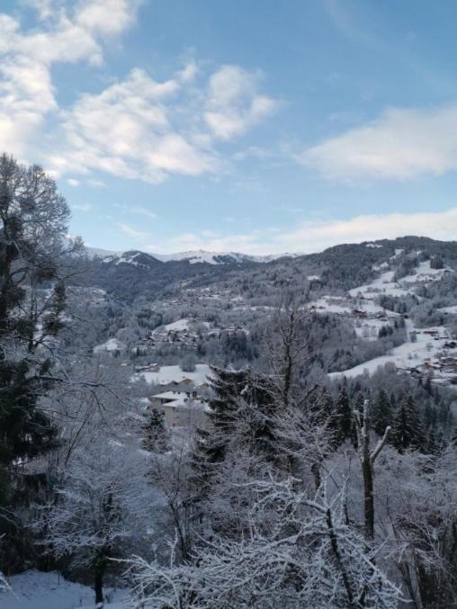 Kaban' Des Neiges Apartment แซ็งต์-แฌร์เวส์-เลส์-แบ็งส์ ภายนอก รูปภาพ