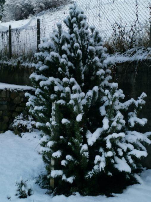 Kaban' Des Neiges Apartment แซ็งต์-แฌร์เวส์-เลส์-แบ็งส์ ภายนอก รูปภาพ